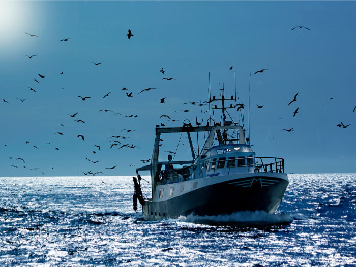 S Fishing-Boat