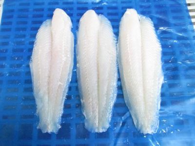 Pangasius fillet welltrimmed