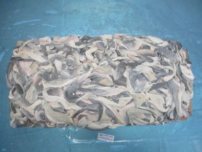 Pangasius Skin