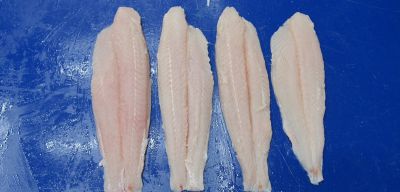 Organics Pangasius fillet