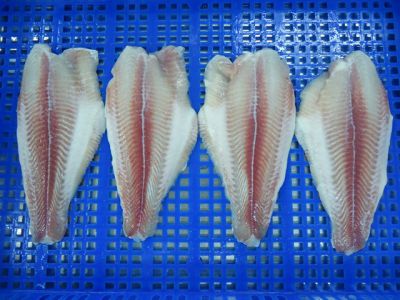 Pangasius-fillet-untrimmed