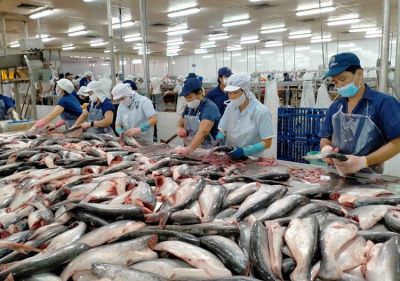Vietnam&#039;s Shrimp Exports Maintain Leading Position in Early 2025