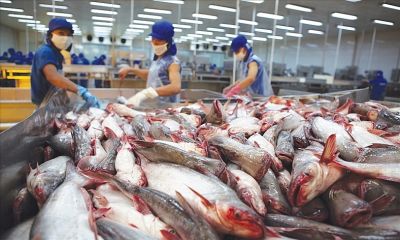 PANGASIUS EXPORTS ARE FORECAST TO REACH $2.6 BILLION IN 2022