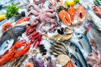 Vietnam Ascends to Fifth Largest Seafood Supplier to Singapore