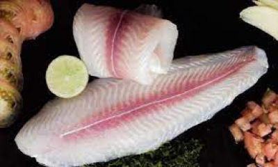VNSEAFOOD Market Update: Pangasius Output Surges in January 2025