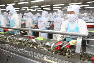 vietnam shrimp