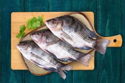 Vietnamese Tilapia in the U.S.: Great Opportunities, Not-So-Small Challenges